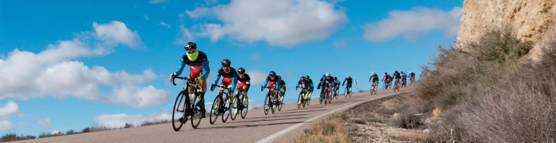 Road cycling team using performance carbon bicycles